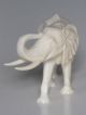 Prachtvolle Alte Bein Figur Elefant,  Massiv,  Feine Beinarbeiten 100 G. 1950-1999 Bild 3