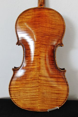 Feine Alte Violine/geige Sehr Edel Nur 5 Tage Old Violin Violon,  Violino Bild