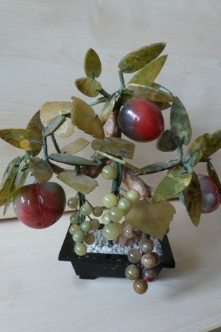 Jadebaum Asiatica Bonsai Apfelbaum Mit Weintrauben Jade 27cm Hoch Bild