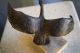 Orig.  Siggy Puchta Bronze Fliegende Gans Skulptur Figur Mit Signatur 61/500 1950-1999 Bild 5