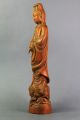 Kostbar Skulptur Kwan - Yin Bodhisattva Aus Buchsbaum Holz,  Boxwood China Um 1900 Asiatika: China Bild 4
