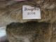 Schöner Großer Douglas - Sammlerbär,  60 Cm,  Jahr 2006,  Limitiert 867/1000 Stofftiere & Teddybären Bild 6