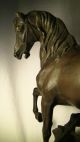 Pferd Gaul Hengst Alt Antik Metall Vor 1900 Bild 2
