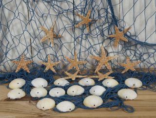 Fischernetz 1x2m Blau Mit 10 Seesternen Und 15 Muscheln Für Die Maritime Deko Bild