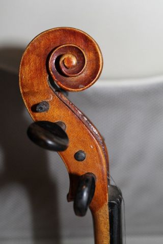 Sehr Schöne Geige Bild