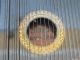 Konzert Gitarren Zither Victoria Klingenthal Originalbox Vintage Uralt 1900 Saiteninstrumente Bild 6