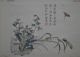 3 Holzschnitte Aus Dem Senfkorngartenwerk 1701 Asiatika: China Bild 1