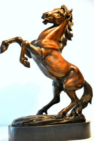 Bronze Pferd Signiert Bronzeskulptur Bronzefigur Bronze Figur Bronze Skulptur Bild