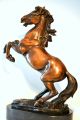 Bronze Pferd Signiert Bronzeskulptur Bronzefigur Bronze Figur Bronze Skulptur Bronze Bild 2