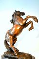 Bronze Pferd Signiert Bronzeskulptur Bronzefigur Bronze Figur Bronze Skulptur Bronze Bild 4