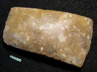 5400j:a:toll Steinbeil Schaftglanz 102mm Steinzeit Neolithikum Flint Feuerstein Bild