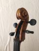 Wunderschönes Seltenes Cello Aus Vollmassiv Mit Einteiliger Decke,  Rare Celli Saiteninstrumente Bild 10