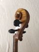 Wunderschönes Seltenes Cello Aus Vollmassiv Mit Einteiliger Decke,  Rare Celli Saiteninstrumente Bild 11