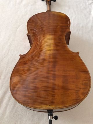 Wunderschönes Seltenes Cello Aus Vollmassiv Mit Einteiliger Decke,  Rare Celli Bild