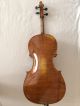 Wunderschönes Seltenes Cello Aus Vollmassiv Mit Einteiliger Decke,  Rare Celli Saiteninstrumente Bild 3