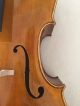 Wunderschönes Seltenes Cello Aus Vollmassiv Mit Einteiliger Decke,  Rare Celli Saiteninstrumente Bild 5