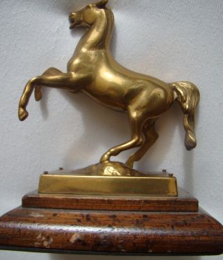 Bronze Pferd Auf Holzsockel Bild