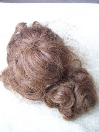 Alte Puppenteile Hasel Braune Haar Perücke Vintage Doll Hair Wig 35cm Doll Girl Bild