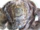 Alte Puppenteile Hasel Braune Haar Perücke Vintage Doll Hair Wig 35cm Doll Girl Puppen & Zubehör Bild 6
