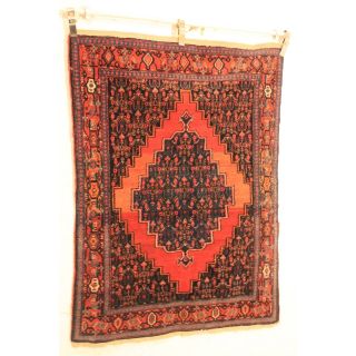 Ca 100 Jahre Antiker Handgeknüpfter Orientteppich Zenneh Bid Carpet 115x150cm Bild