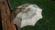 Silber 800 Spazierstock Schirmstock Regenschirm Sonnenschirm Flanierstock Design Accessoires Bild 3
