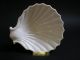 Design Italy Keramik Muschelschale Anbietschale Weiß Glasiert Nach Marke & Herkunft Bild 6