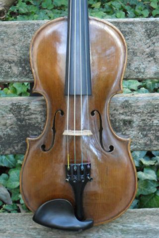 Sehr Schöne Alte 4/4 Meister Geige Im Kasten Old Master Violin Bild