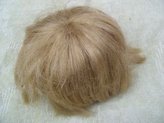 Alte Puppenteile Hellblonde Kurz Haar Perücke Vintage Doll Hair Wig 40 Cm Boy Bild