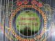 Uralt Amerikanische Guitarre - Zither Konzert - Violin - Harfe Melodiezither Um 1900 Saiteninstrumente Bild 1