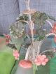 Florentiner Blüten / Blumen Lampe Landhaus Chabby Chic Kronleuchter Gefertigt nach 1945 Bild 2