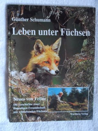 Günther Schumann Leben Unter FÜchsen Erlebnisse In Freier Wildbahn Feline 2 1a Bild