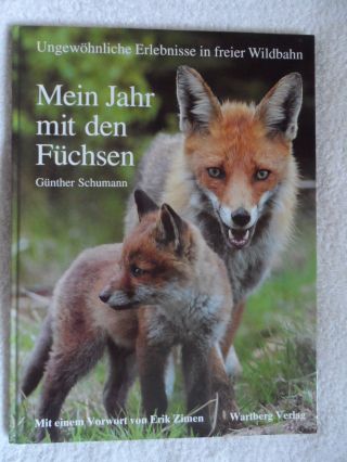 Günther Schumann Mein Jahr Mit FÜchsen Erlebnisse In Freier Wildbahn Feline 1 1a Bild