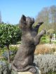 Grosse SchÖne Stehende Katze Aus Bronze (2,  8kg) Tier Figur Heim Garten Deko Bronze Bild 2