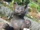 Grosse SchÖne Stehende Katze Aus Bronze (2,  8kg) Tier Figur Heim Garten Deko Bronze Bild 4