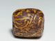 Rare Ancient Fossil Stone Bead Antike Bild 3