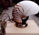 Tischlampe Muschel Nautilus,  Perlboot Auf Bronzefuß,  Selten Und Edel Maritime Dekoration Bild 3