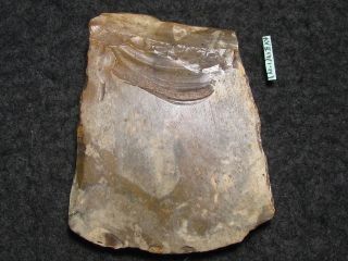 4400j.  A: Steinbeil Als Handaxt Steinzeit Neolithikum Dolchzeit Kultur Bild