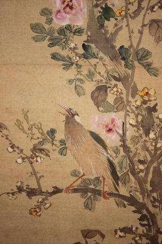 Japanisches Rollbild Kakejiku Vögel Und Blumen Japan Scroll Birds Flowers 1292 Bild