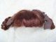 Alte Puppenteile Dunkelrote Zoepfe Haar Perücke Vintage Doll Hair Wig 40c Girl Puppen & Zubehör Bild 5