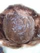 Alte Puppenteile Kupferrote Haar Perücke Zoepfe Vintage Doll Hair Wig 40 Cm Girl Puppen & Zubehör Bild 7