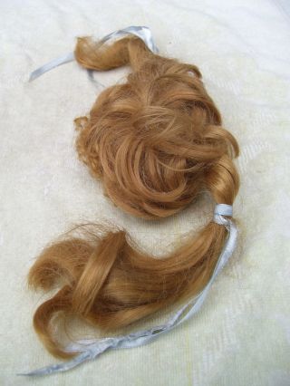 Alte Puppenteile Rotblonde Haar Perücke Vintage Doll Hair Wig 40 Cm Girl Bild