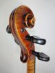 Feine Deutsche Geige Um 1880 Saiteninstrumente Bild 6
