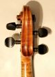 Französische Geige Caussin Schule Ca.  1890 - French Violin Caussin School Saiteninstrumente Bild 7