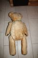 Alter Teddy,  Teddybär (sonneberg Teddy ??) Ca.  90 Cm,  Mit Brummstimme Stofftiere & Teddybären Bild 5