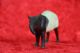 Lineol Sammelfigur Tapir Massefigur Paarhufer Tier Masse Wildtier 10 Cm Gefertigt nach 1945 Bild 1