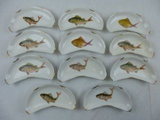 Porzellan Anlegeteller Grätenteller Mit Fischmotiven 