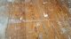 Pitch Pine Dielen Kiefer Pechkiefer Fußboden Antik Original, vor 1960 gefertigt Bild 7