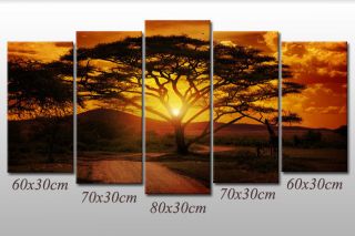 Leinwandbild Baum Landschaft Afrika Silhouette Akazien Sonnenuntergang Sonne Bild