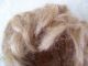 Alte Puppenteile Hellblonde Kurz Haar Perücke Vintage Doll Hair Wig 28 Cm Boy Puppen & Zubehör Bild 4