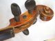 Alte Geige - Violine - Old Violin - Old Fiddle - Violino Antico - No Label 5 Saiteninstrumente Bild 3